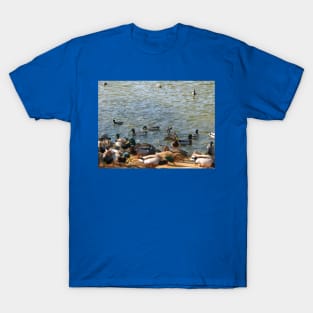 Fowl play T-Shirt